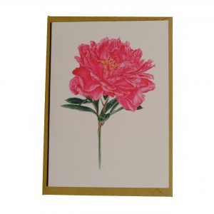 Peony Greetings Card