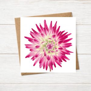 Dahlia Greetings Card #2