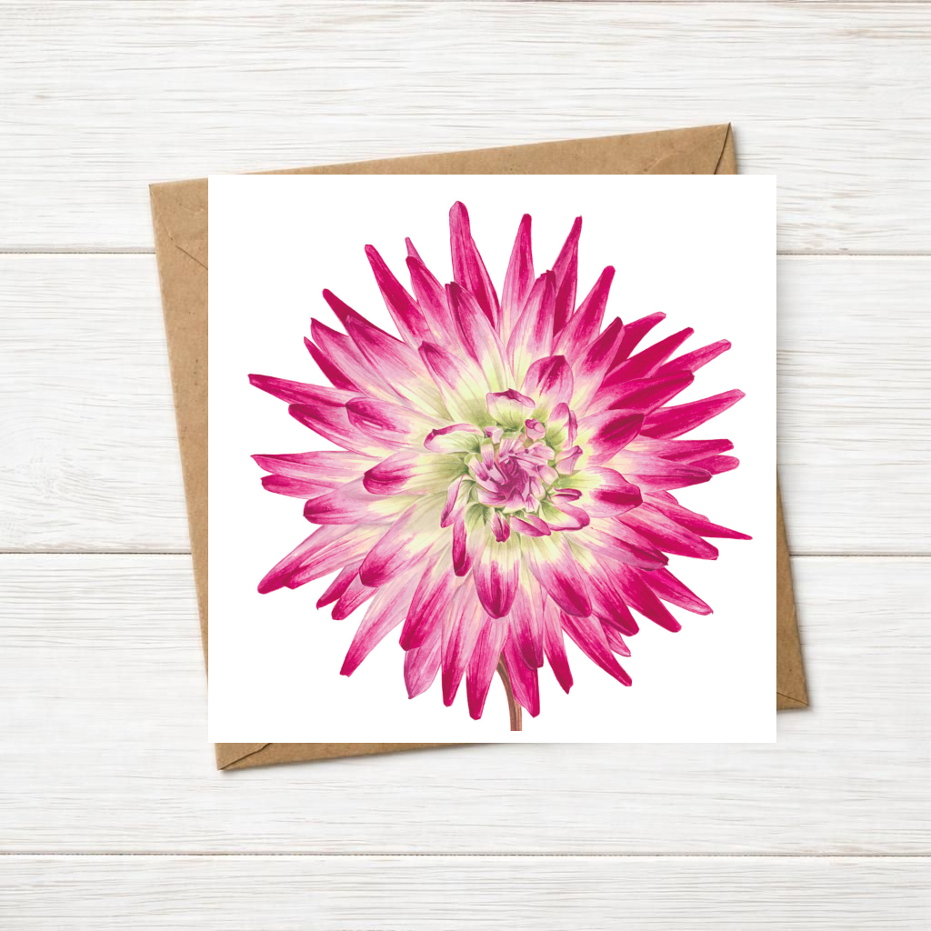 Dahlia Greetings Card #2