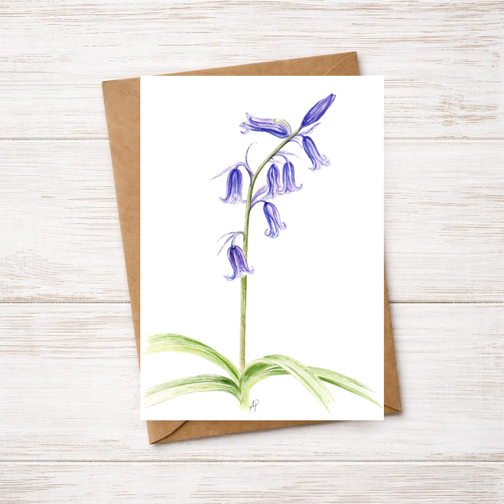 Bluebells Greetings Card