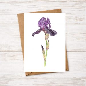 Iris Greetings Card