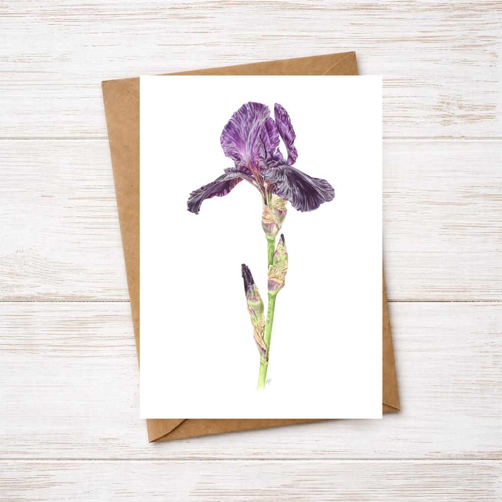 Iris Greetings Card