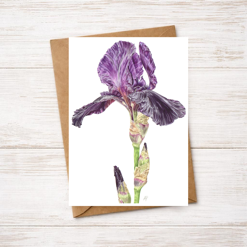 Iris Greetings Card #2
