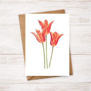 Tulips Greetings Card