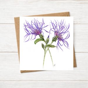 A greetings card of an original watercolour painting of a Centaurea Montana (Cornflower)