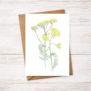 A greetings card of an original watercolour painting of Achillea