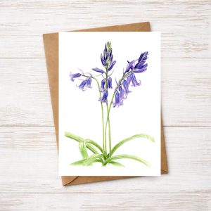 A greetings card of an original watercolour painting of Bluebells